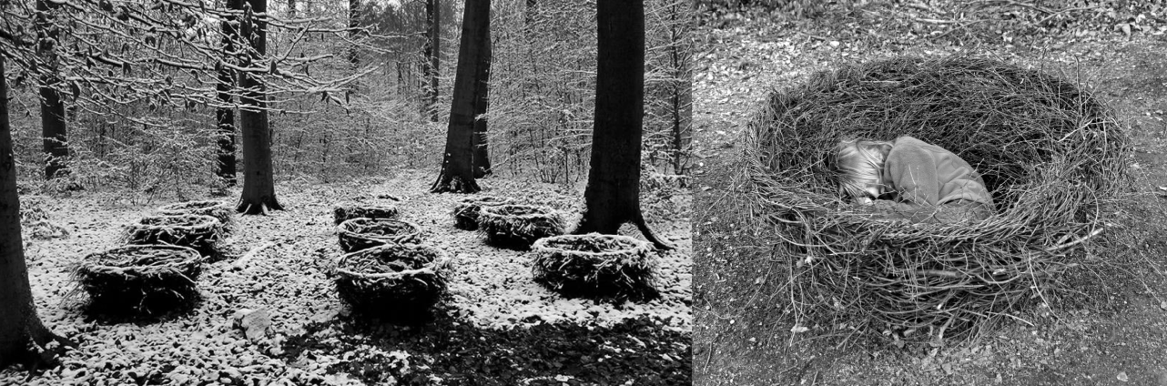 Schermata 06-2457196 alle 14.54.02