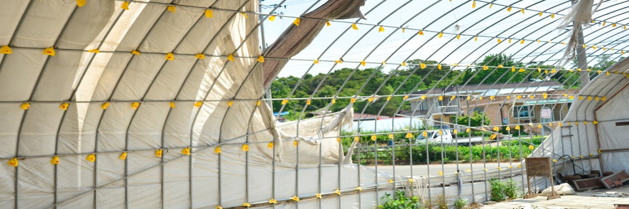 care of 05 foto lunga portfolio