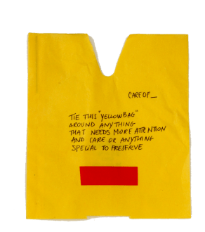 valeria codara yellow bag for care of